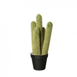 Cactus en pot h. 39 cm