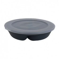 Divider plate with tr.lid...